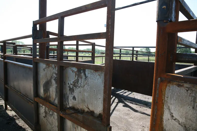 Rust-stained steel tube gates and sheet-steel panels, welded on site, forming a livestock corral.